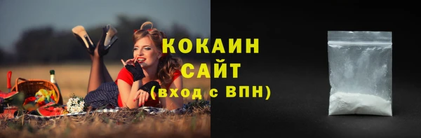 мдпв Бугульма