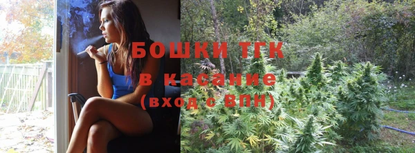 шишки Бронницы