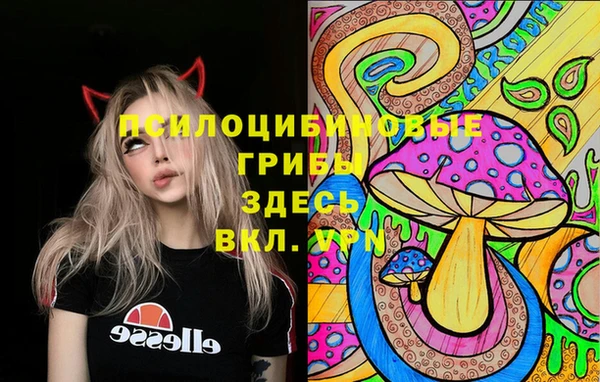 мдпв Бугульма
