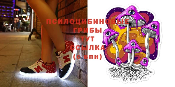 мдпв Бугульма