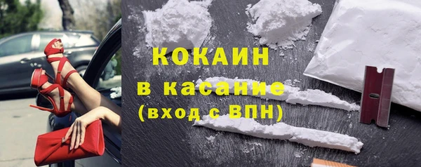 шишки Бронницы