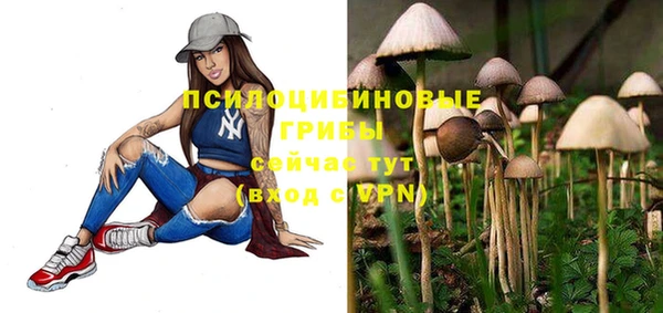 шишки Бронницы