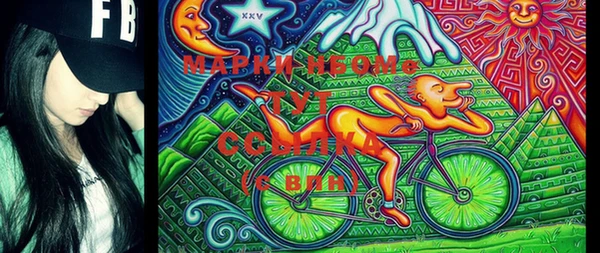 шишки Бронницы