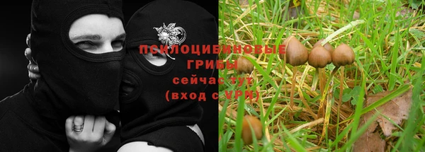 шишки Бронницы