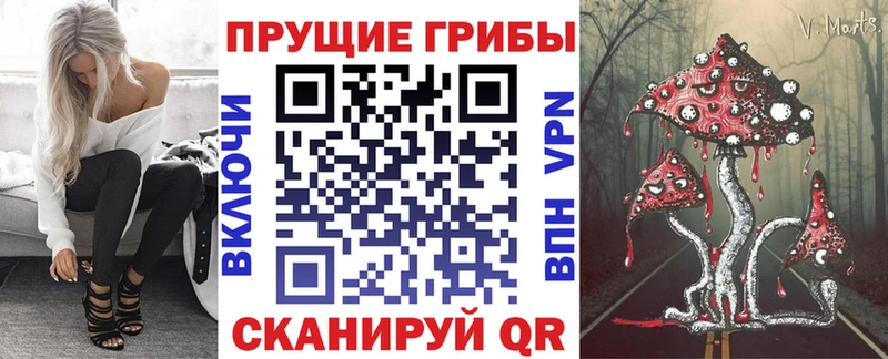 Галлюциногенные грибы Psilocybine cubensis  hydra маркетплейс  Нарткала 
